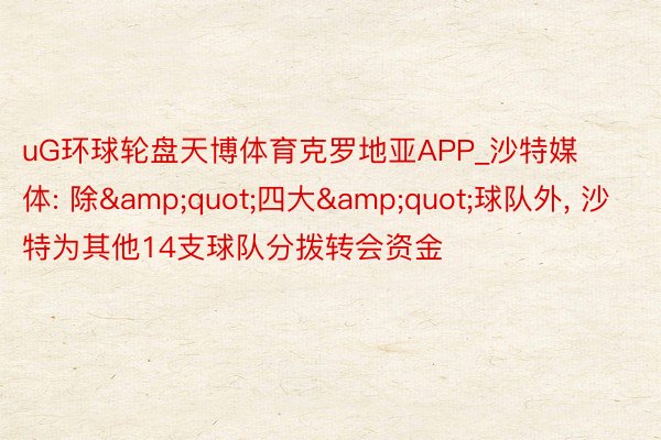 uG环球轮盘天博体育克罗地亚APP_沙特媒体: 除&quot;四大&quot;球队外, 沙特为其他14支球队分拨转会资金