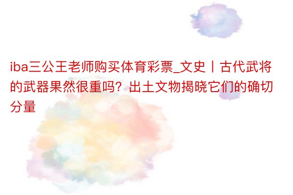 iba三公王老师购买体育彩票_文史丨古代武将的武器果然很重吗？出土文物揭晓它们的确切分量