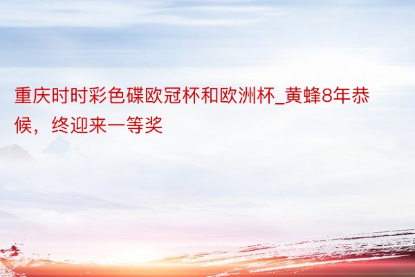 重庆时时彩色碟欧冠杯和欧洲杯_黄蜂8年恭候，终迎来一等奖