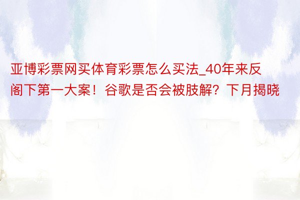 亚博彩票网买体育彩票怎么买法_40年来反阁下第一大案！谷歌是否会被肢解？下月揭晓