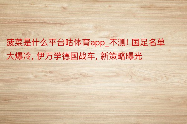 菠菜是什么平台咕体育app_不测! 国足名单大爆冷, 伊万学德国战车, 新策略曝光
