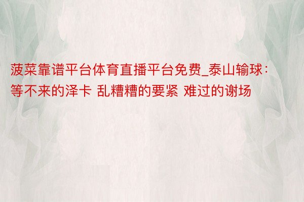 菠菜靠谱平台体育直播平台免费_泰山输球：等不来的泽卡 乱糟糟的要紧 难过的谢场