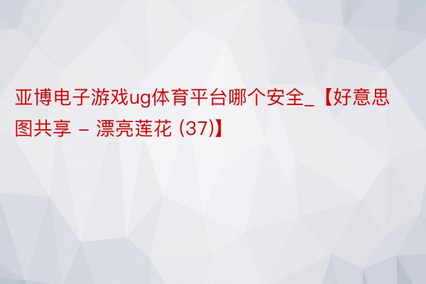 亚博电子游戏ug体育平台哪个安全_【好意思图共享 - 漂亮莲花 (37)】