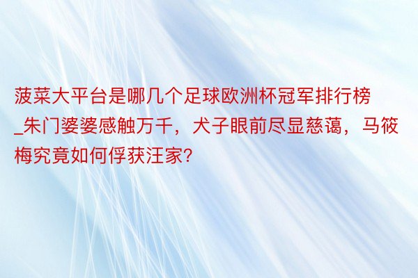 菠菜大平台是哪几个足球欧洲杯冠军排行榜_朱门婆婆感触万千，犬子眼前尽显慈蔼，马筱梅究竟如何俘获汪家？