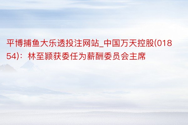 平博捕鱼大乐透投注网站_中国万天控股(01854)：林至颕获委任为薪酬委员会主席